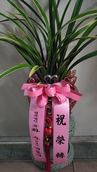 ȣ纯