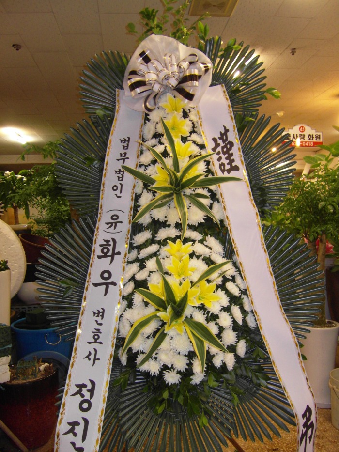 ȣ