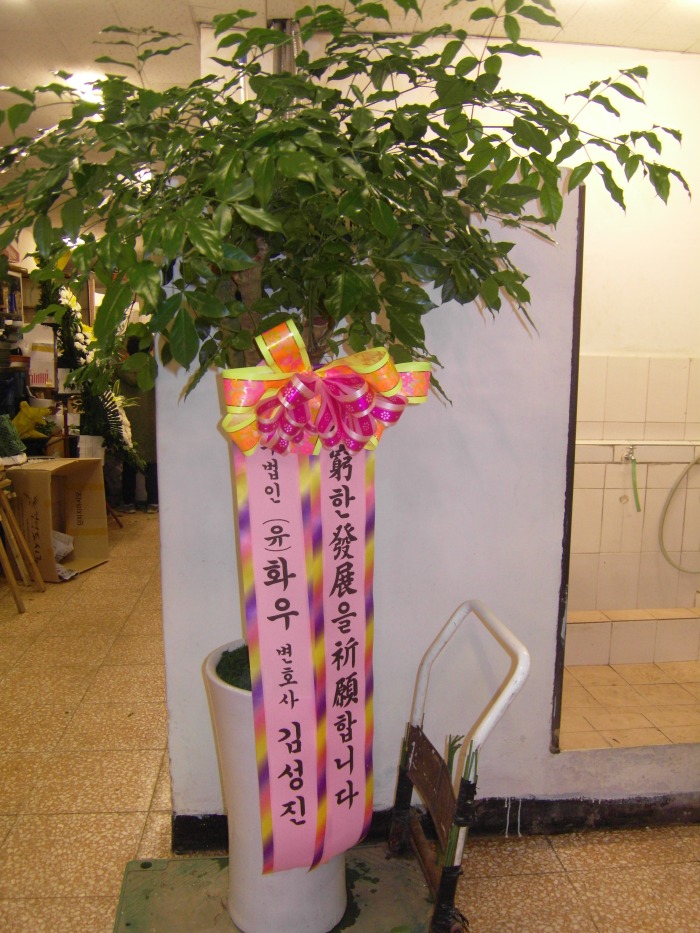 輺ȣ