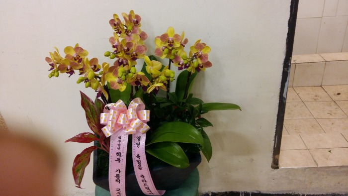  縯 ȸ 
