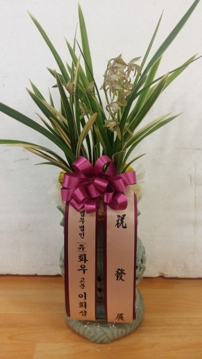 񼺰