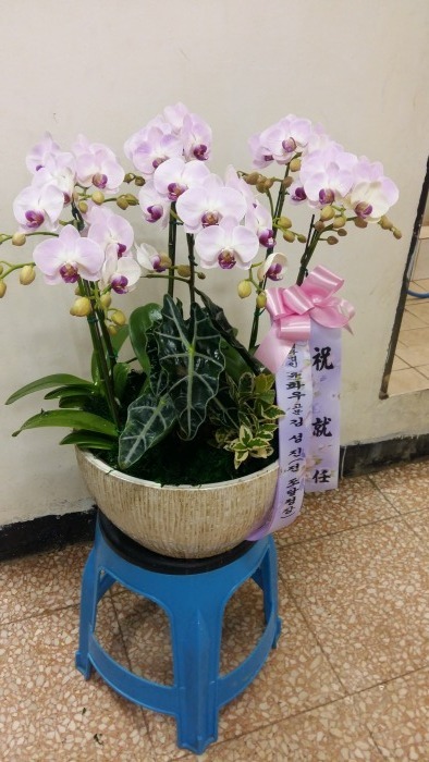 輺