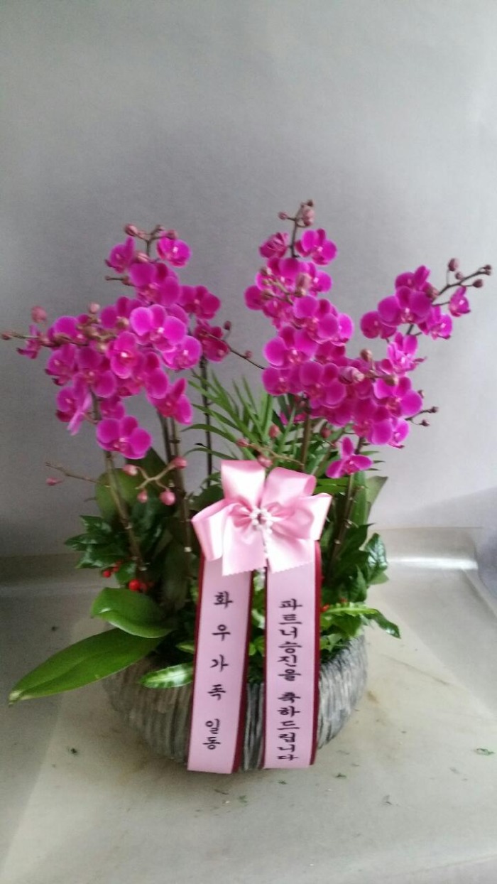 ȭ찡ϵ