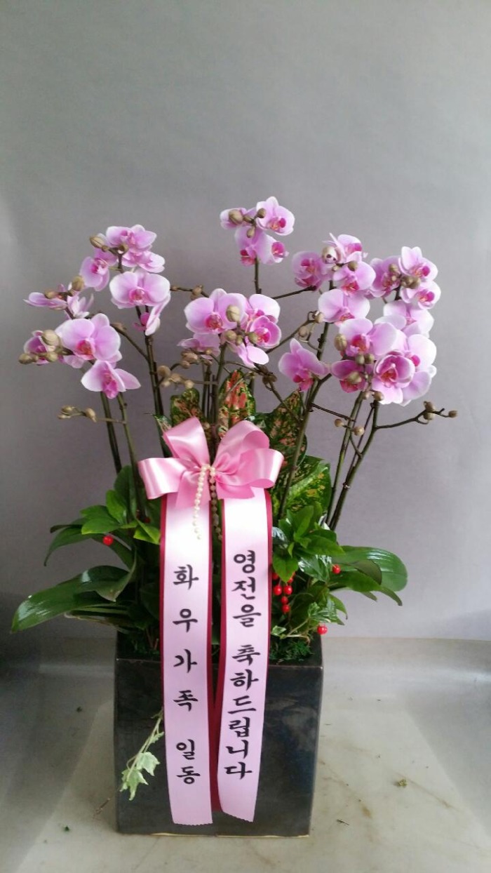 ȭ찡ϵ