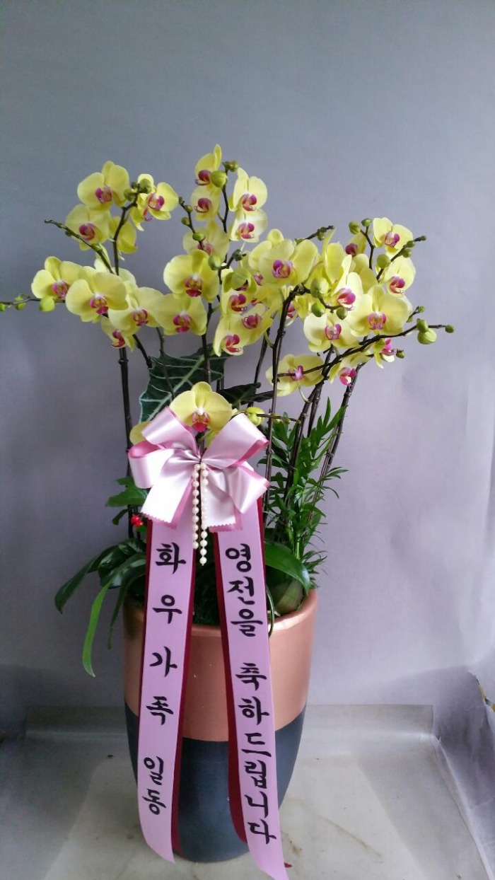 ȭ찡ϵ