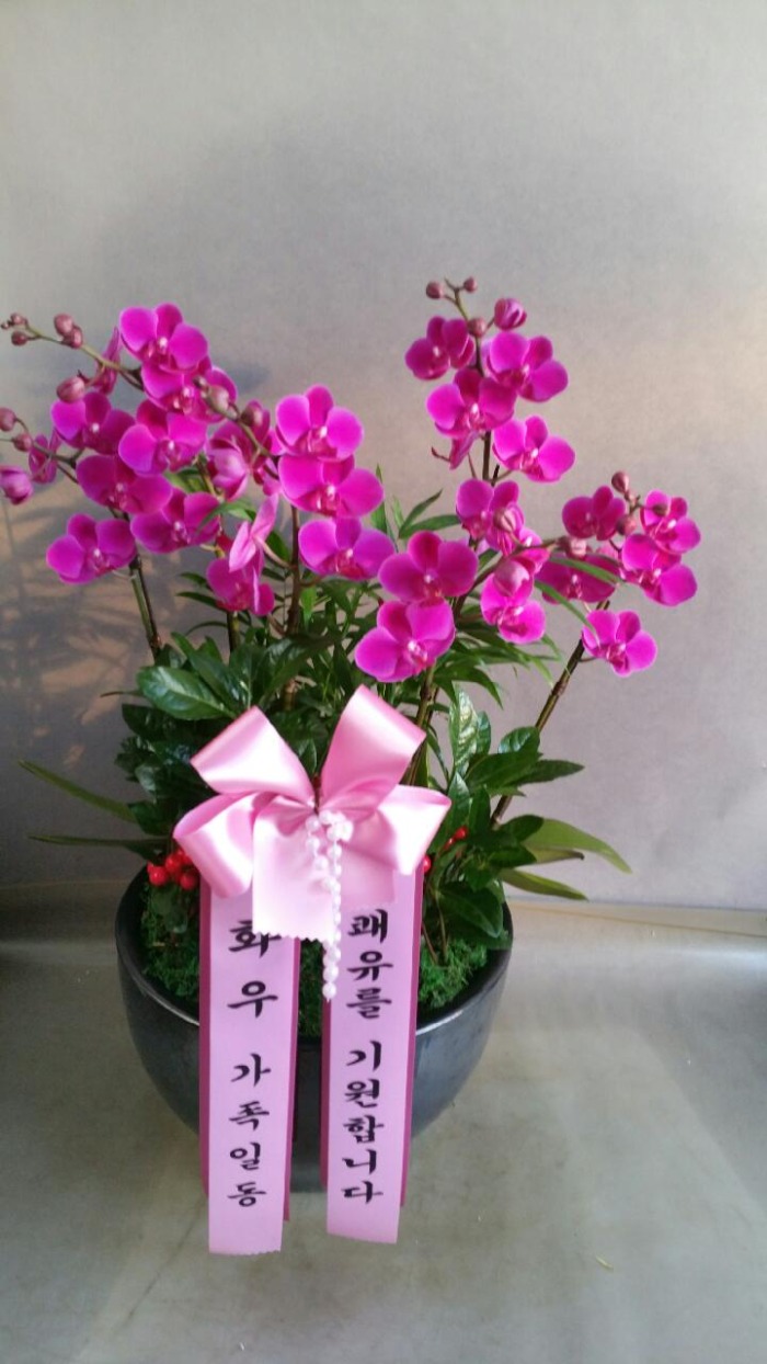 ȭ찡ϵ