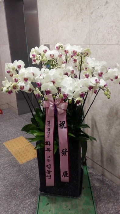 赿