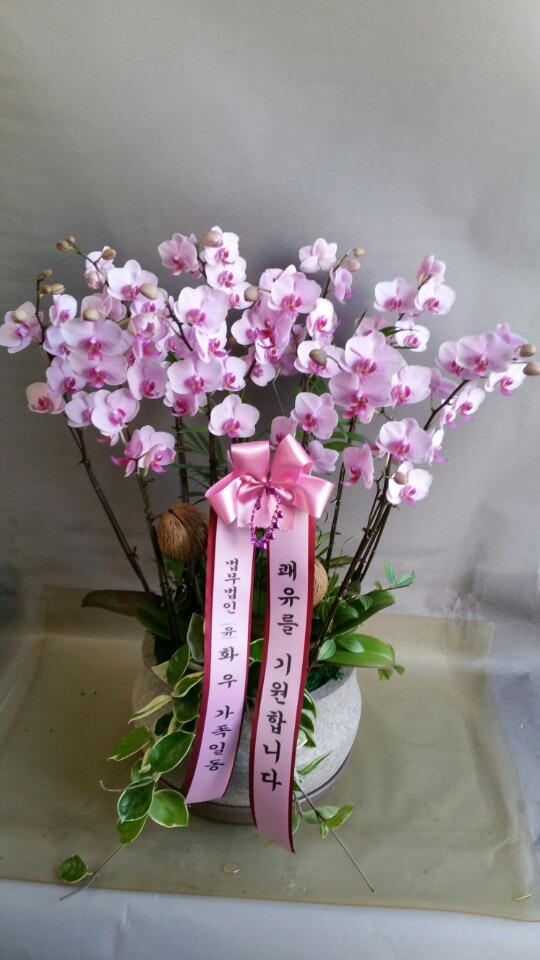 ȭ찡ϵ