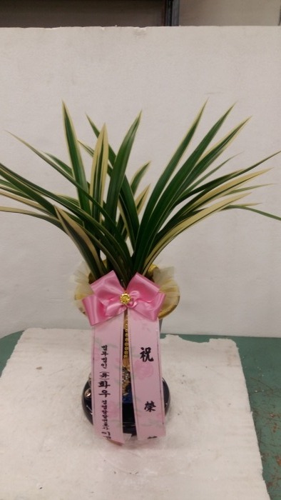 濵纯ȣ̸