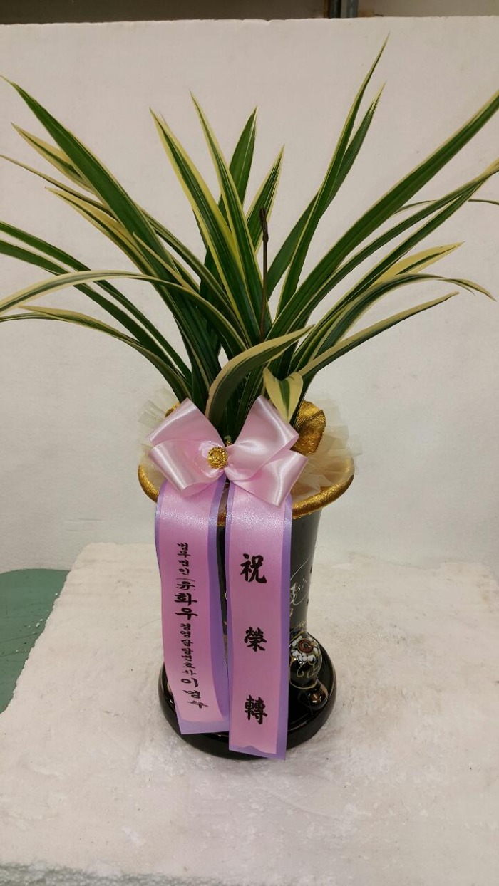 濵纯ȣ̸