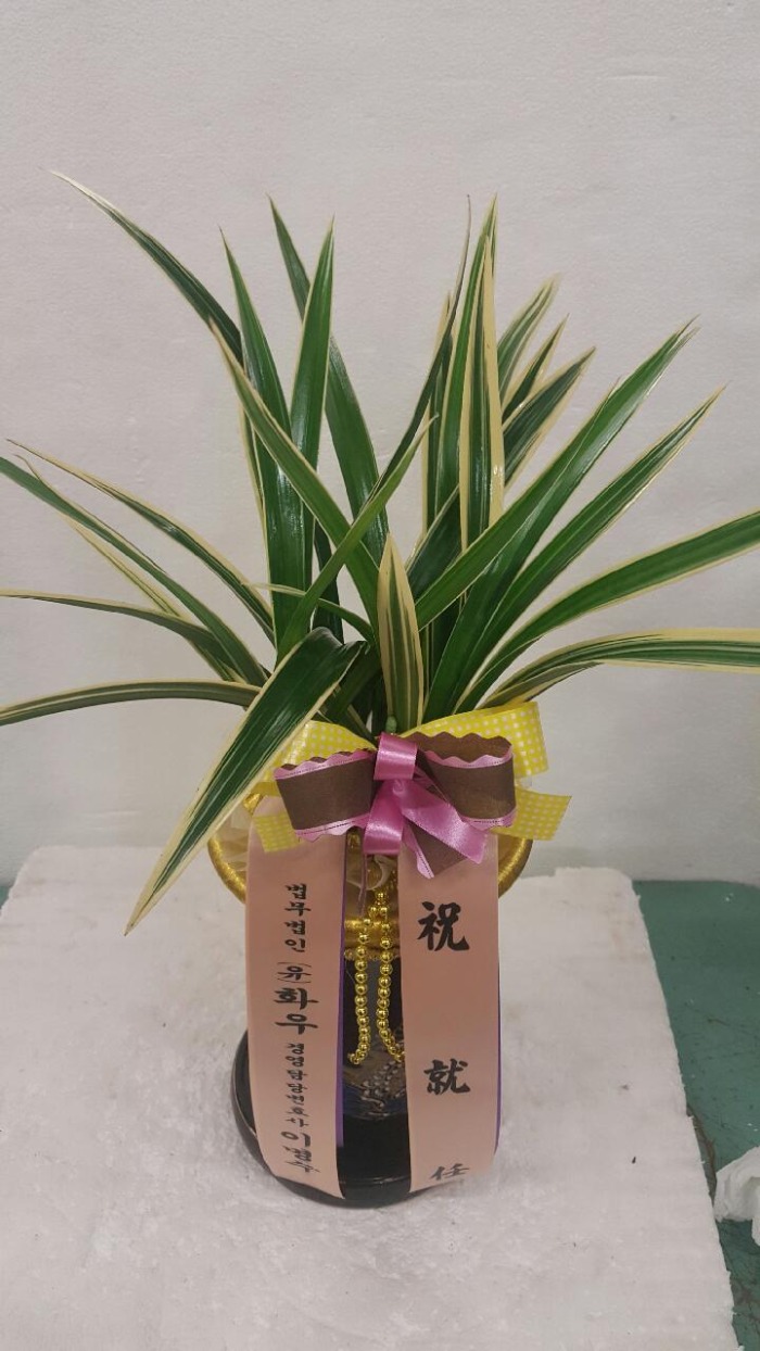 濵纯ȣ̸