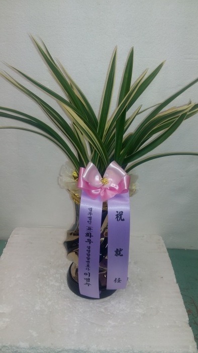濵纯ȣ̸