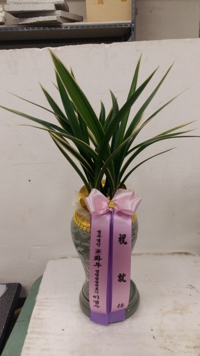 濵纯ȣ̸