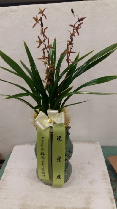  ȣ輺