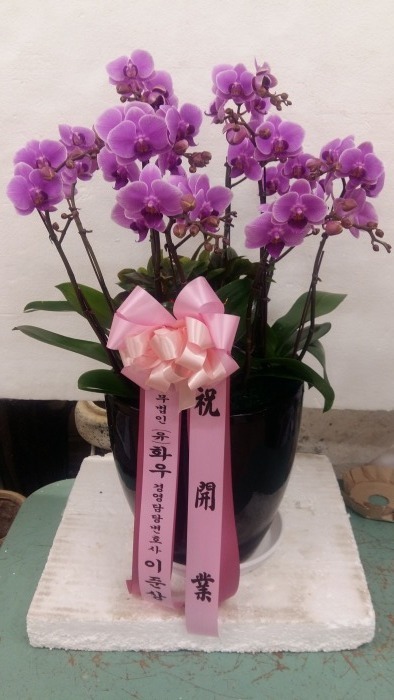 濵纯ȣػ